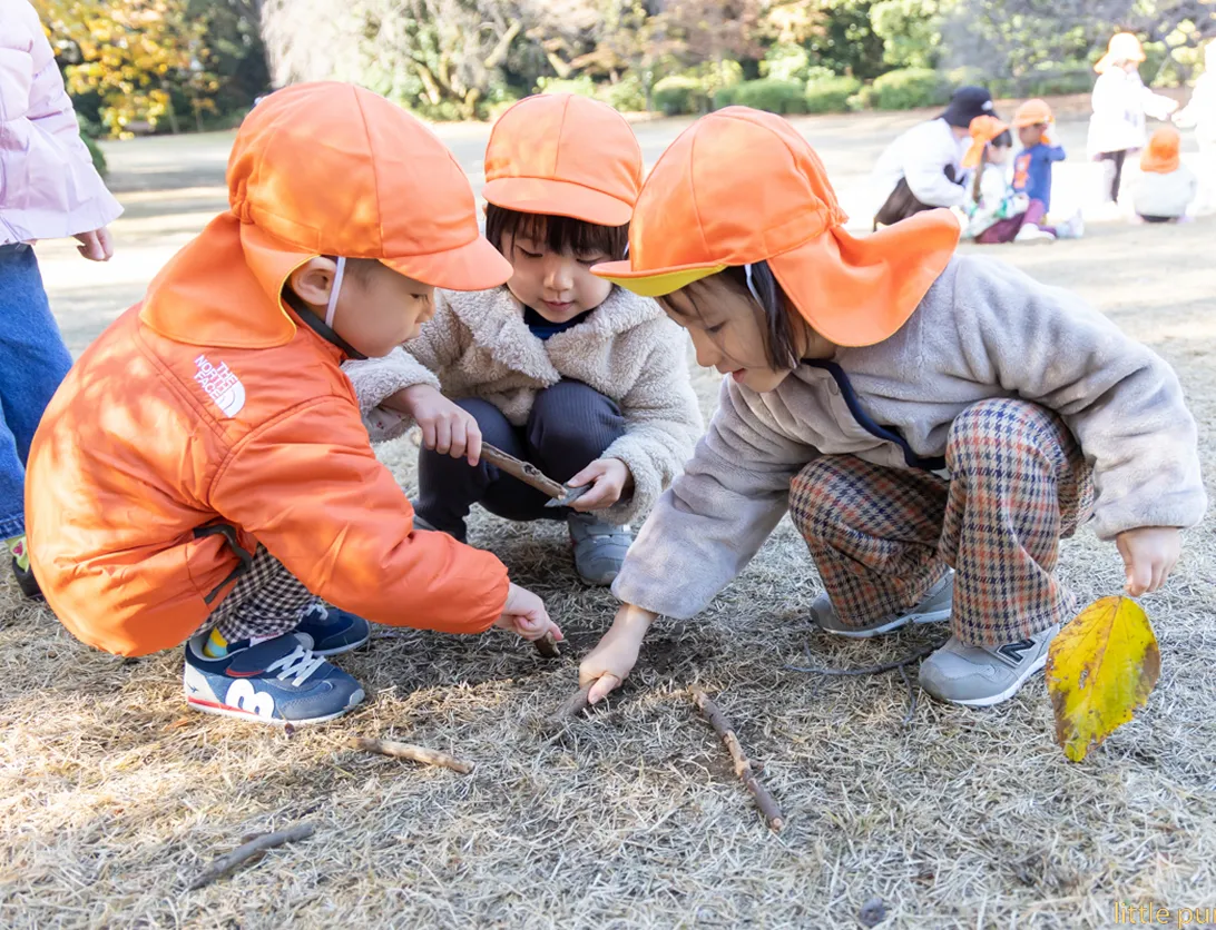 自然体験活動