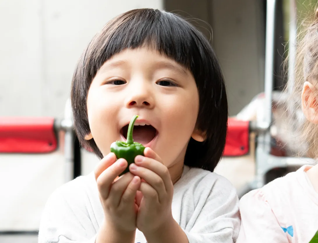 菜園