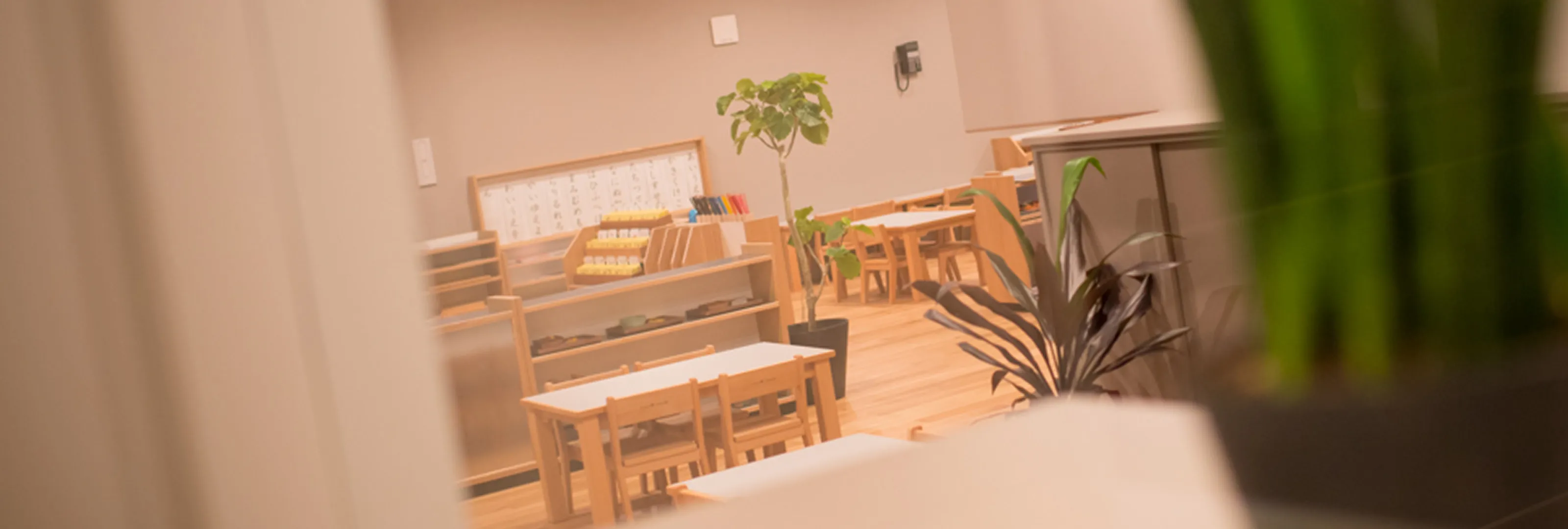 「他園のコンサルテーション」サービスを提供しています。