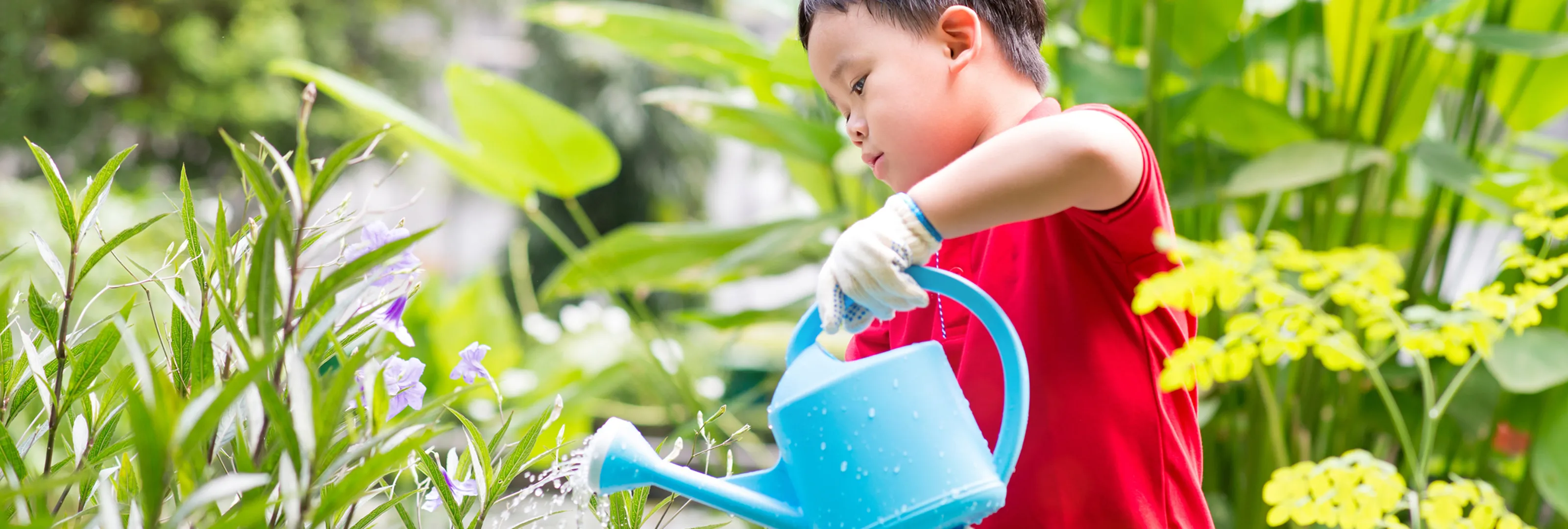 子どもたちの豊かな感性と心の成長を促すため、「花育」に力を入れています。