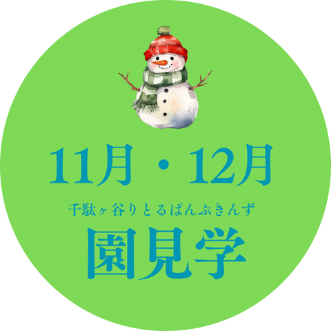 11月/12月の園見学