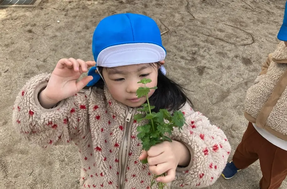 高円寺りとるぱんぷきんずの園児が植物を摘んでいる様子