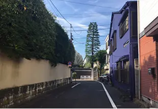 坂を上り終えると見えてくる一本杉