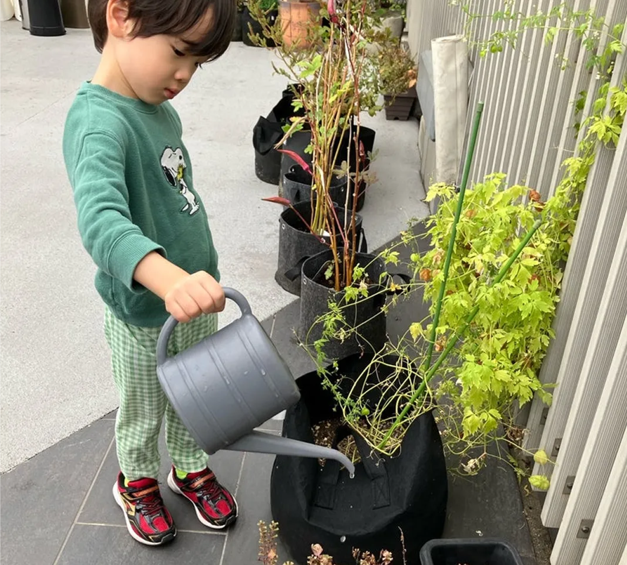 花にお水をあげる園児