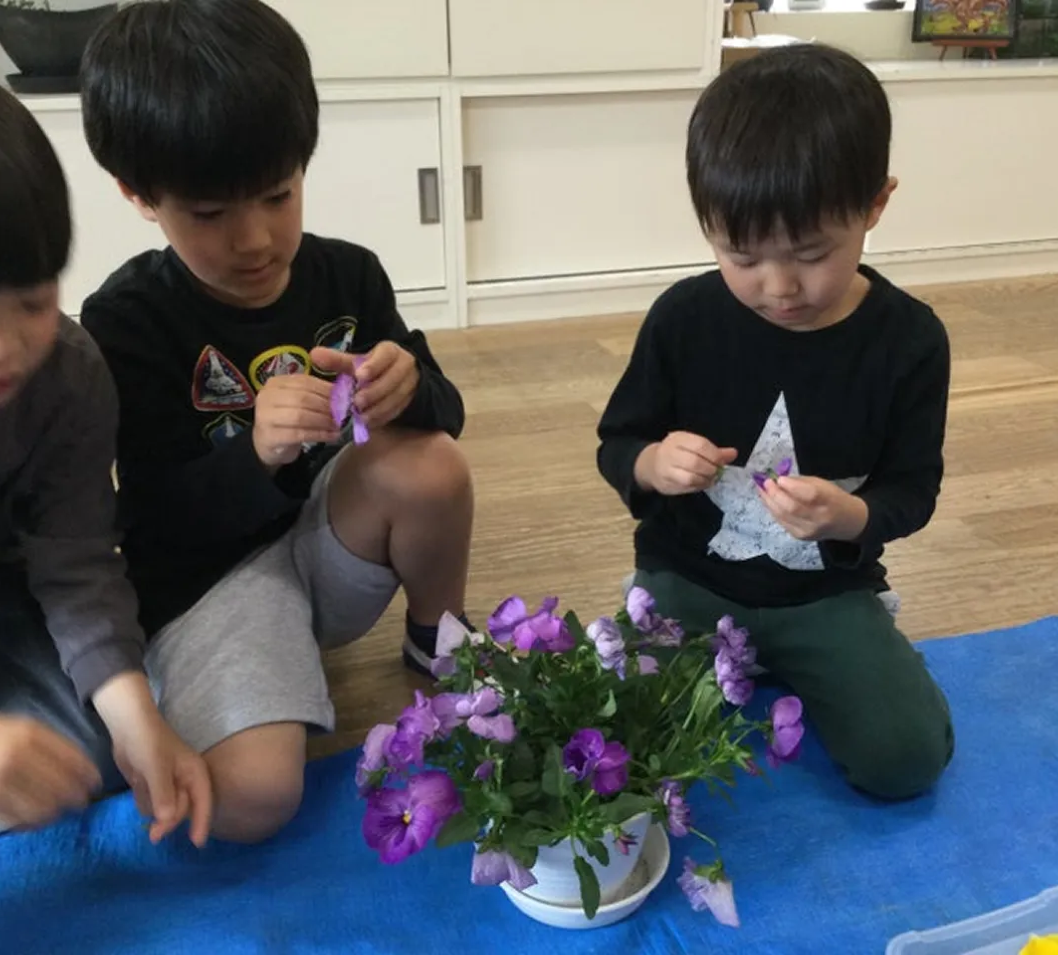 花育の様子